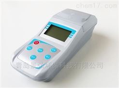 ZYL微机型余氯检测仪安装距离有效氯测定仪