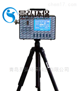CCHZ1000矿用全自动粉尘测定仪PM10粉尘检测仪